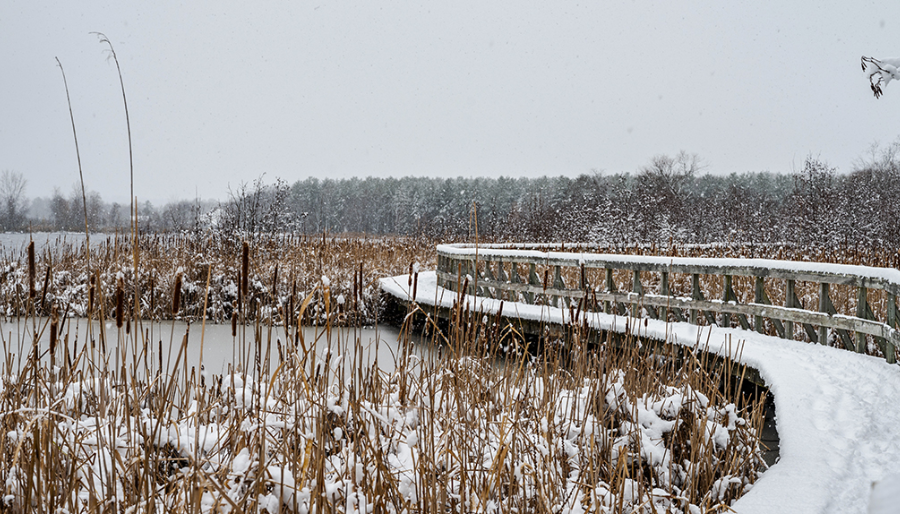 Crédit 📷 : Centre d'interprétation de la nature de lac Boivin