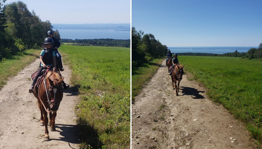 Crédit 📷 : Écuries entre Monts et Marées